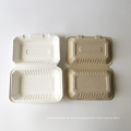 Bagasse Container 9x6 1000ml Lunch Box food clamshell